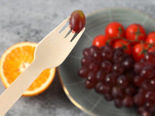 disposable wooden fork